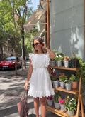 Vestido Curto Bordado Chloe